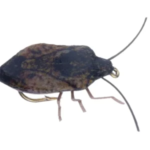 Vania Realistic Stink Bug Trockenfliege brown-