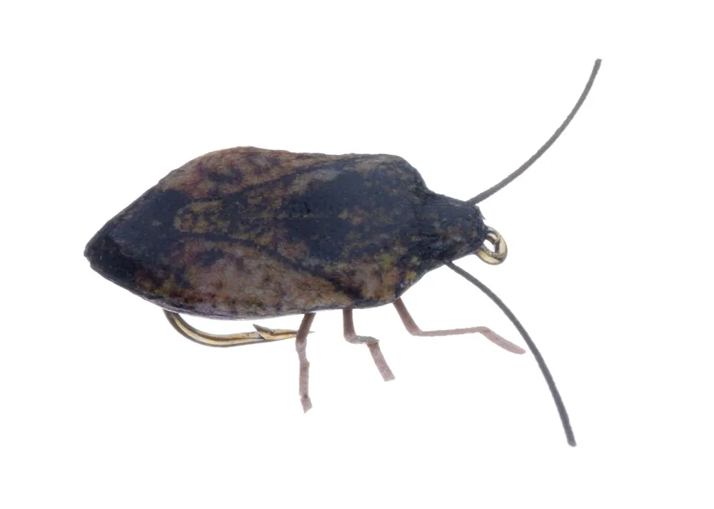 Vania Realistic Stink Bug Trockenfliege brown-
