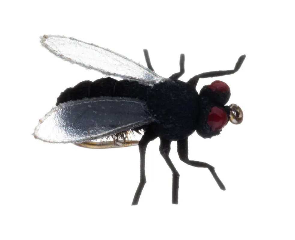 Vania Realistic Black Fly Trockenfliege-