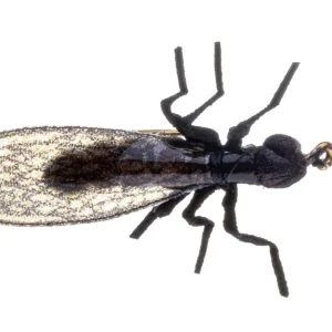 Vania Realistic Mini Stonefly Black Trockenfliege-