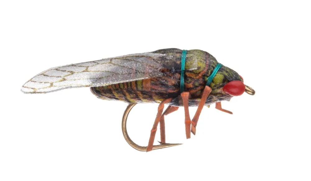 Vania Realistic Trout Cicadia Soft Leg Dryfly Trockenfliege olive-