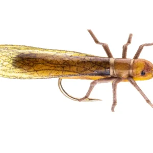 Vania Realistic Golden Stonefly Trockenfliege-