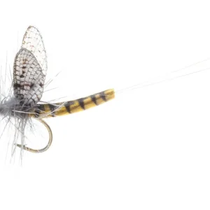 Vania Realistic Mayfly BWO Trockenfliege-