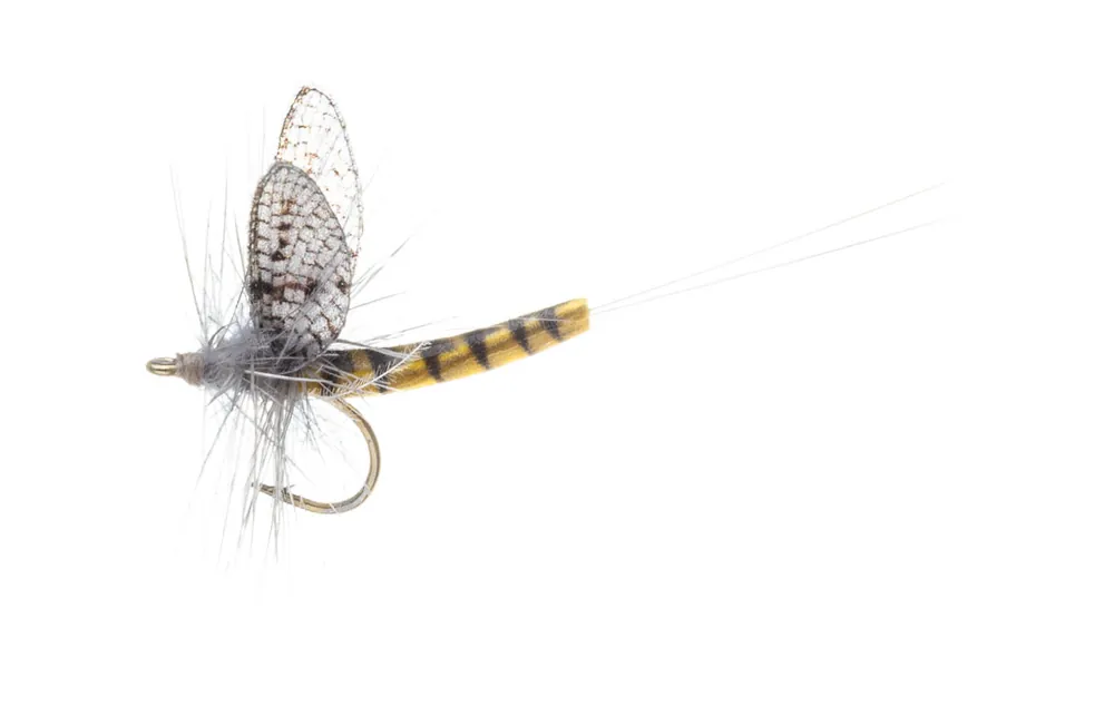 Vania Realistic Mayfly BWO Trockenfliege-