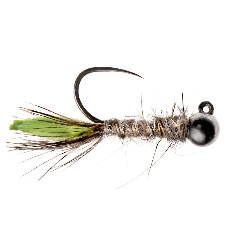 Soldarini Tungsten Jig Nymphe - Peeping Caddis Black Bead- 10