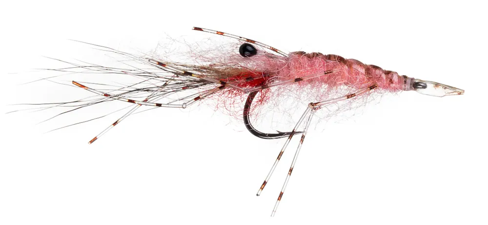 Guideline Meerforellenfliege Leoshrimp pink-