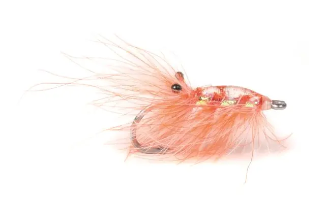 Meerforellenfliege Runars CDC Reke orange-