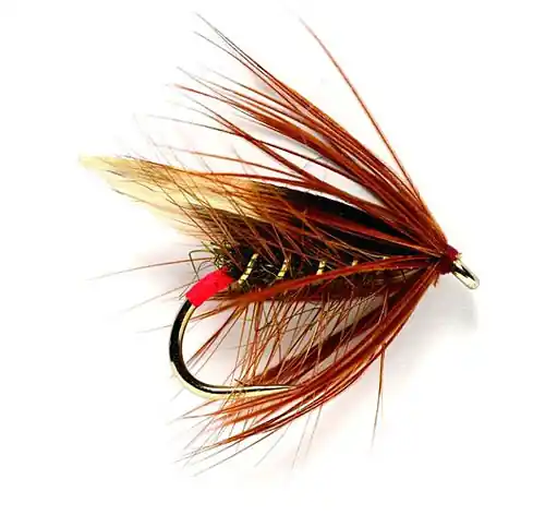 Fulling Mill Nassfliege - Red Arsed Peter-