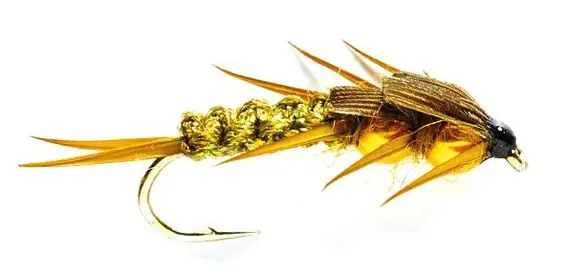 Fulling Mill Nymphe - Golden Nugget Creeper olive-