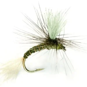 Fulling Mill Trockenfliege - Goddard Emerger Olive-