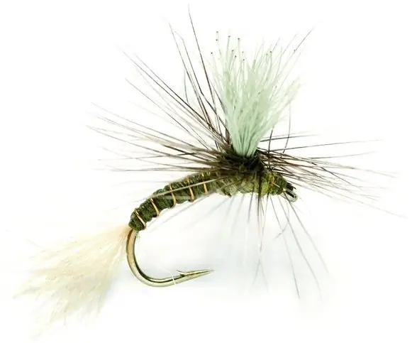Fulling Mill Trockenfliege - Goddard Emerger Olive-