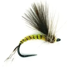 Fulling Mill Trockenfliege - CDC Olive Emerger Barbless-