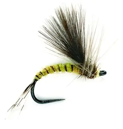 Fulling Mill Trockenfliege - CDC Olive Emerger Barbless-