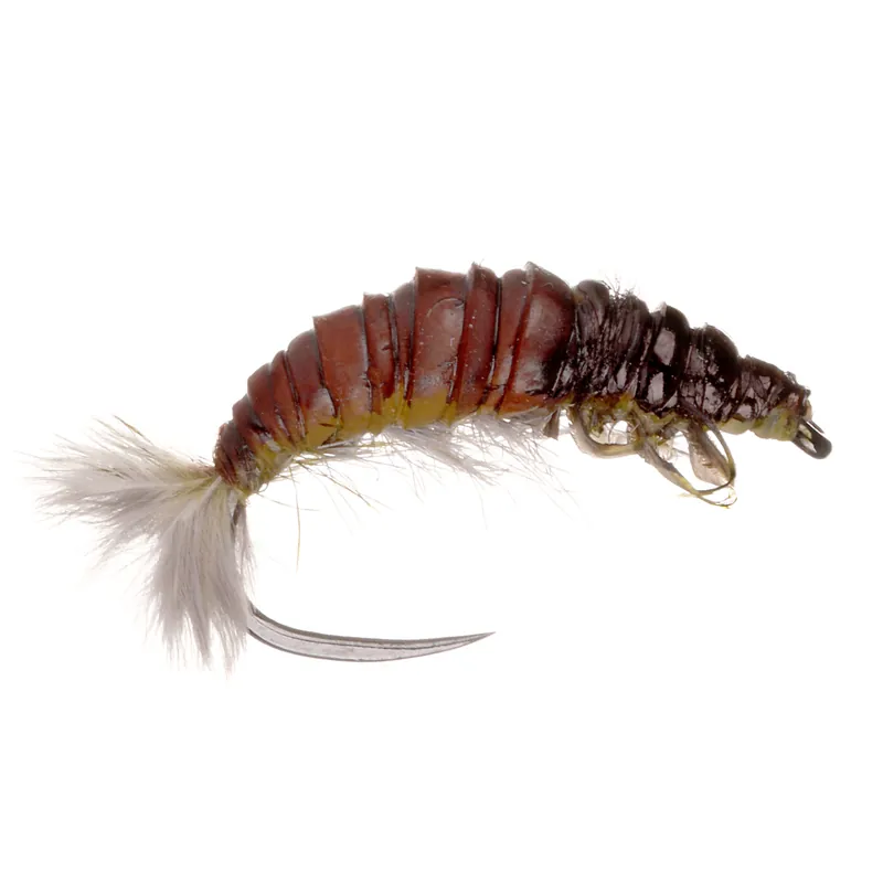 Fulling Mill Nymphe - Oliver Edwards Hydropsyche Larva-