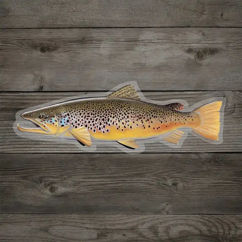 RepYourWater Sticker Brown Trout-