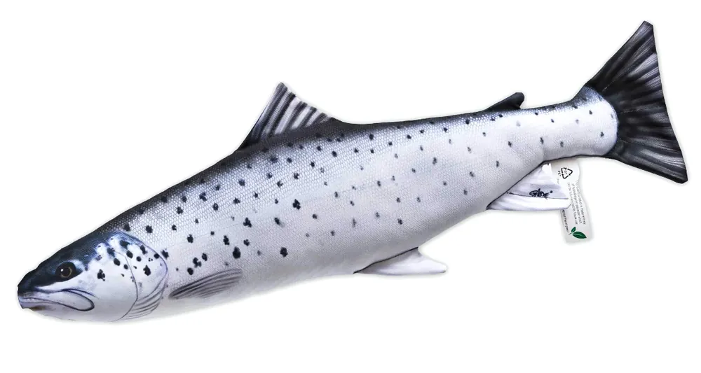 Fischkissen Kuscheltier Meerforelle 51cm-