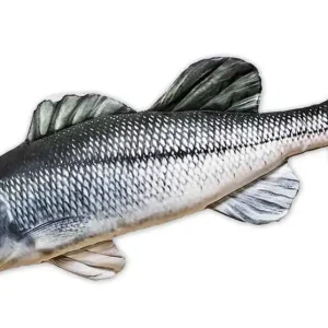 Fischkissen Kuscheltier Wolfsbarsch 70cm-