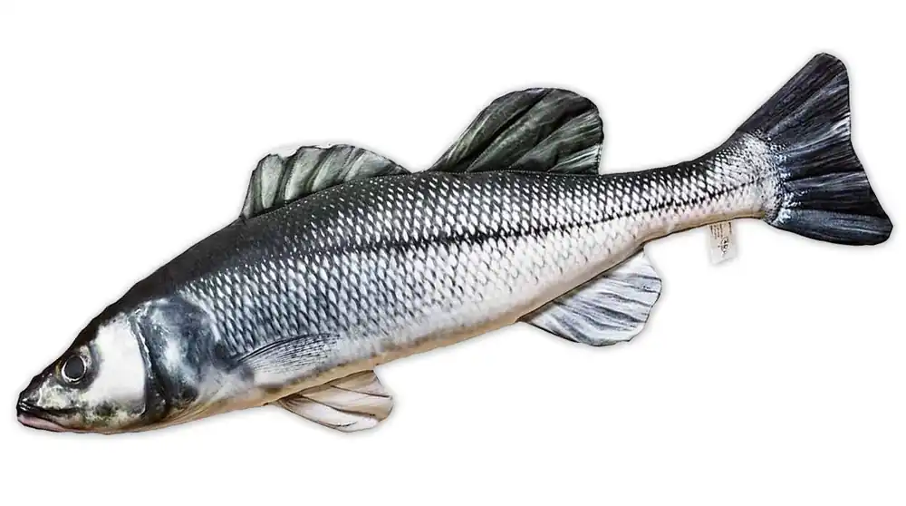 Fischkissen Kuscheltier Wolfsbarsch 70cm-