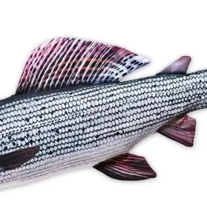 Fischkissen Kuscheltier Äsche 65cm-