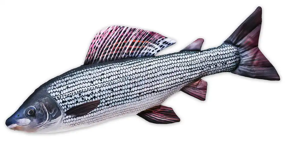 Fischkissen Kuscheltier Äsche 65cm-