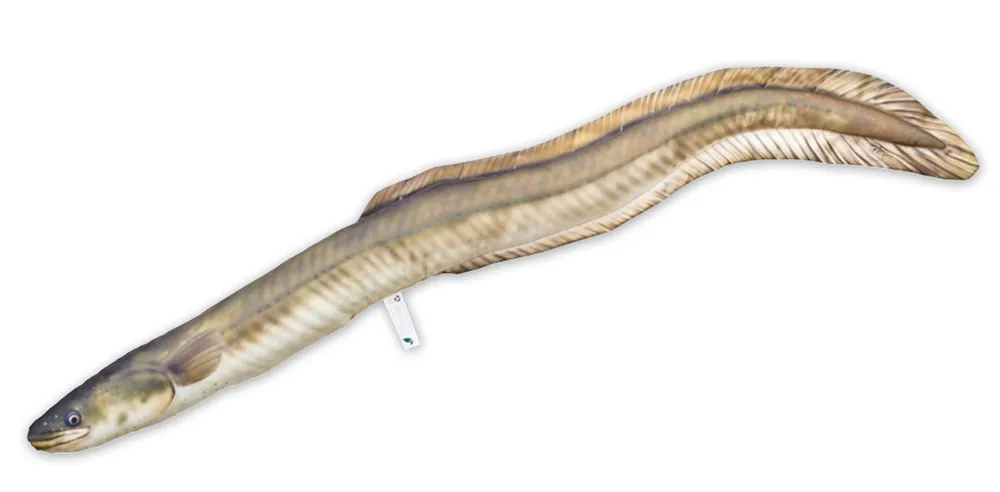 Fischkissen Kuscheltier Aal 115cm-