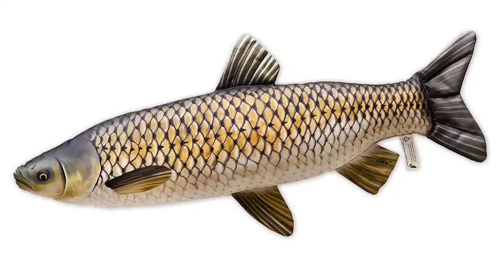 Fischkissen Kuscheltier Graskarpfen 105cm-
