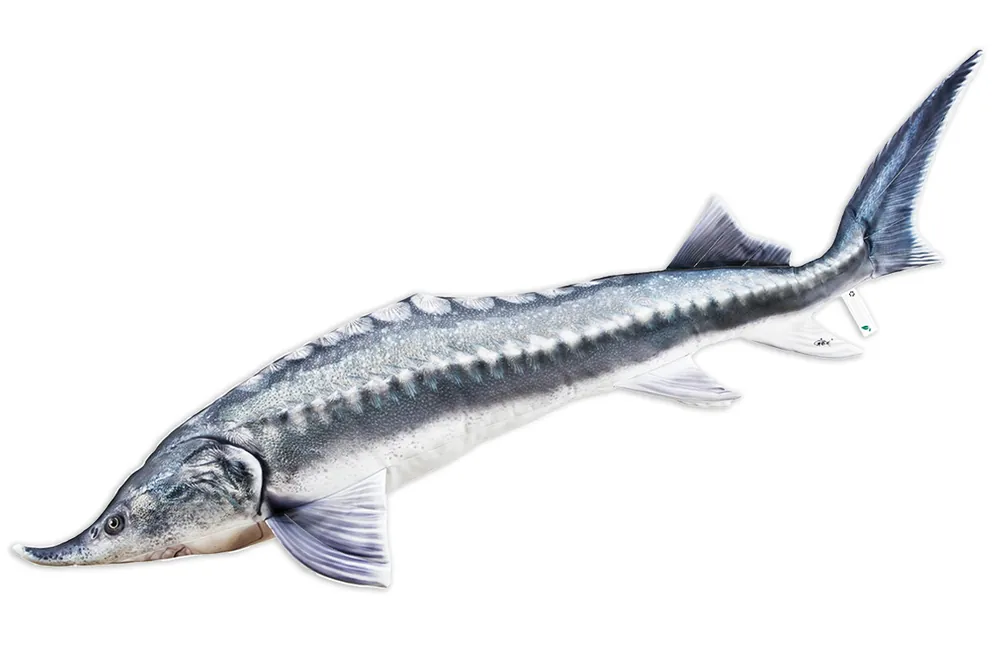 Fischkissen Kuscheltier Stör 140cm-