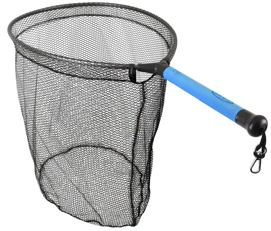 Vision Meri Alu- Watkescher-