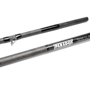 Studio Composite "Paradox"
