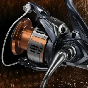 Shimano Nasci FD