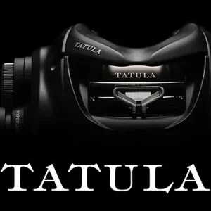 Daiwa '24 Tatula TW 100
