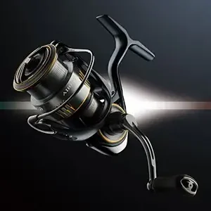 Daiwa '23 Airity LT