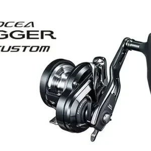 Shimano '19 Ocea Jigger F Custom