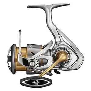 Daiwa '21 Freams FC LT