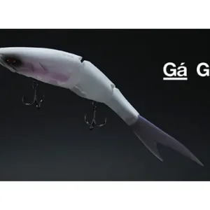 Galapagos Grace 240F