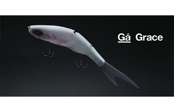Galapagos Grace 240F