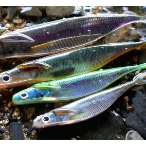 Deps Sakamata Shad 8" Real