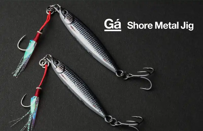 Galapagos Shore Metal Jig