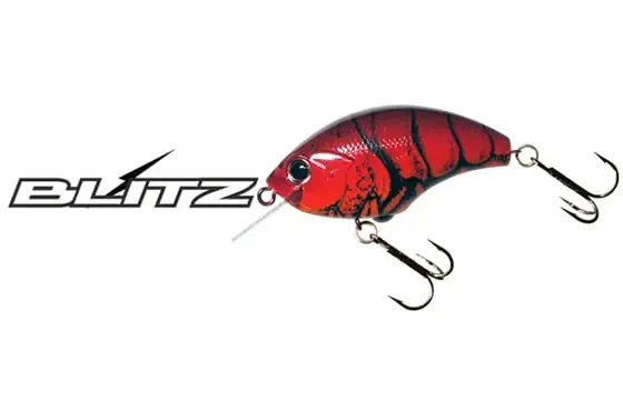 OSP Blitz