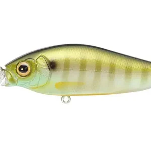 Megabass Flapslap