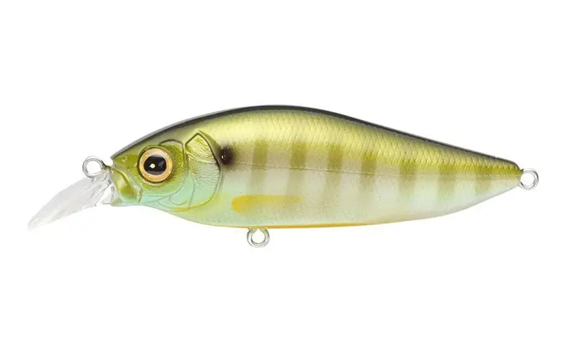 Megabass Flapslap