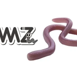 OSP MMZ Large