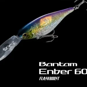 Shimano Bantam Enber 60SP FlashBoost