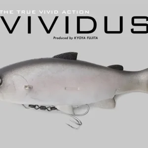 Jackall Vividus