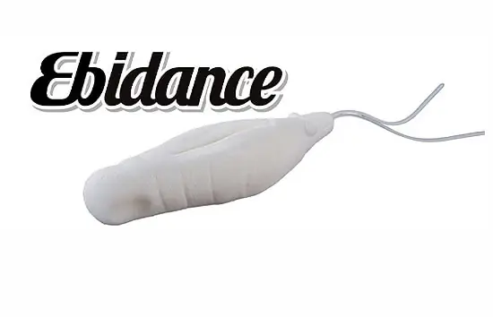 OSP Ebidance