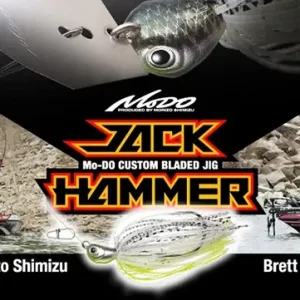 Evergreen Jack Hammer