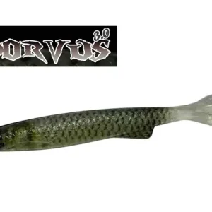 YG.labo Dorvus 3.0 Real