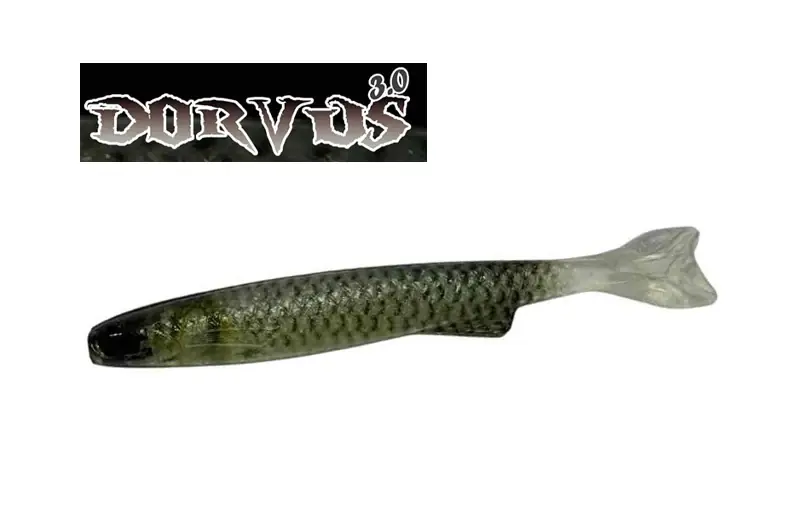 YG.labo Dorvus 3.0 Real