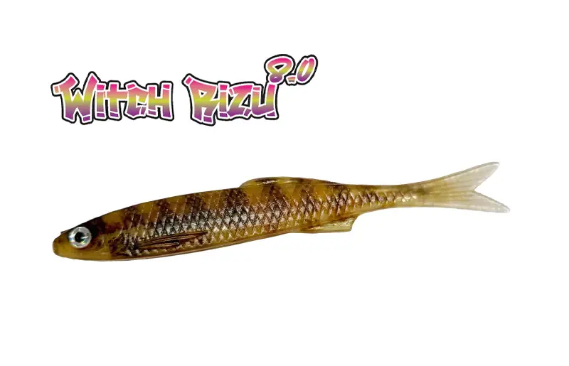 YG.labo Witch Rizu 8.0