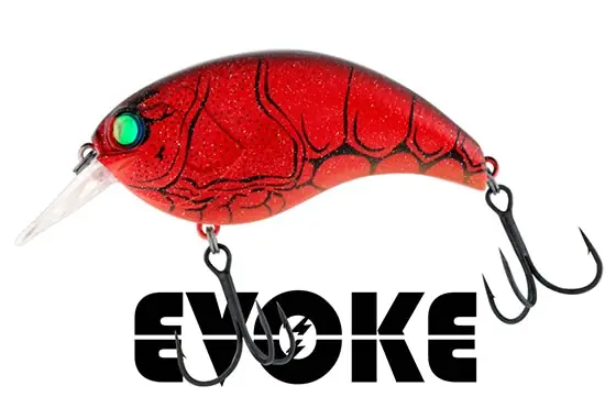 Deps Evoke 2.0